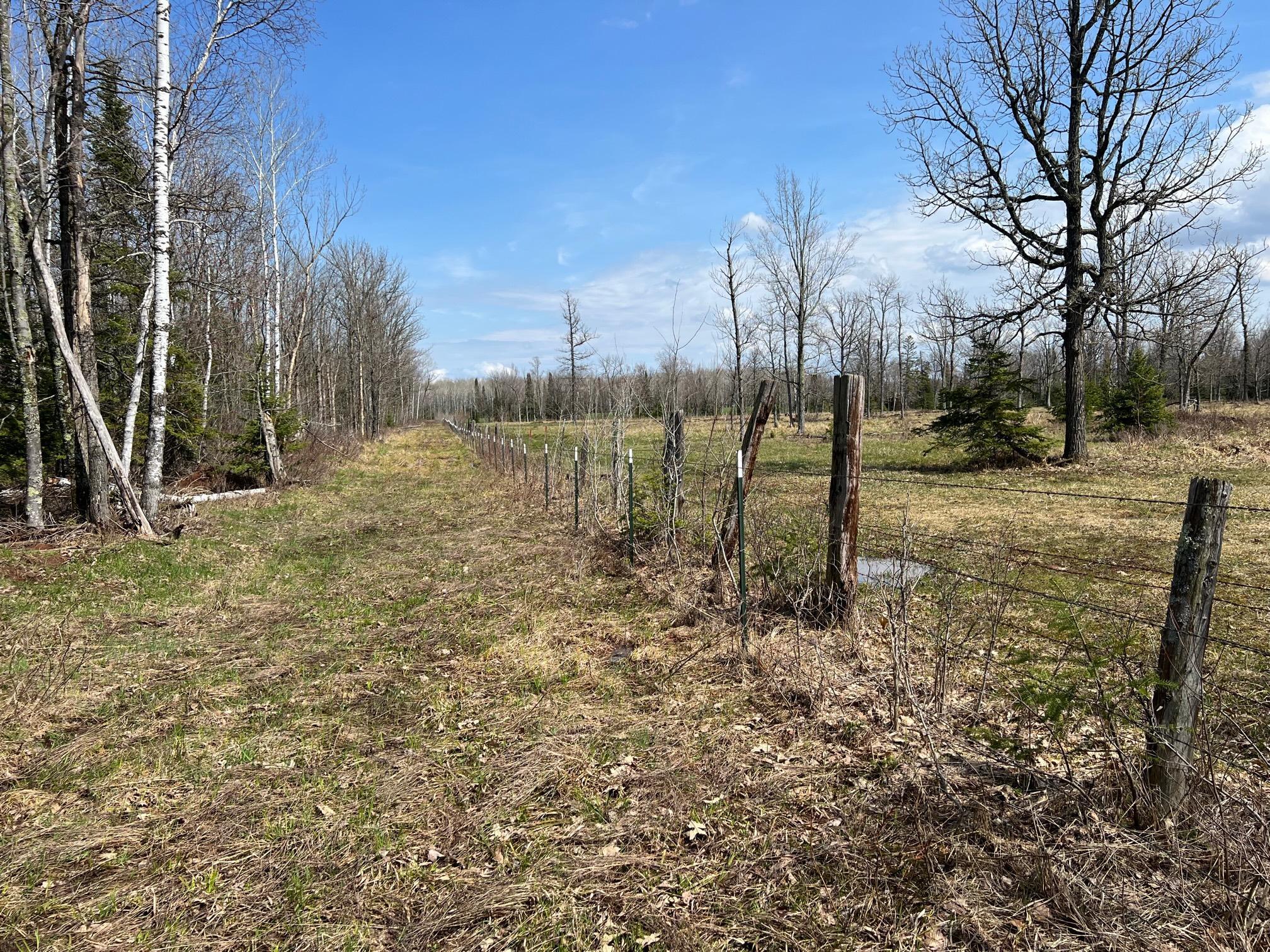 11TBD Gulley Road, Maple, Wisconsin image 38