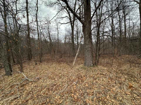 Vacant Land For Sale - LOT 25 County Rd 11<br/> Breezy Point, MN 56472