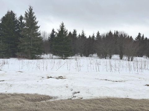 Vacant Land For Sale - TBD County Road 31<br/> Itasca County, Northome, MN 56661
