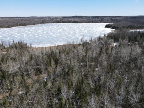 Vacant Land For Sale - TBD W Northstar Lake Rd<br/> Marcell, MN 56657