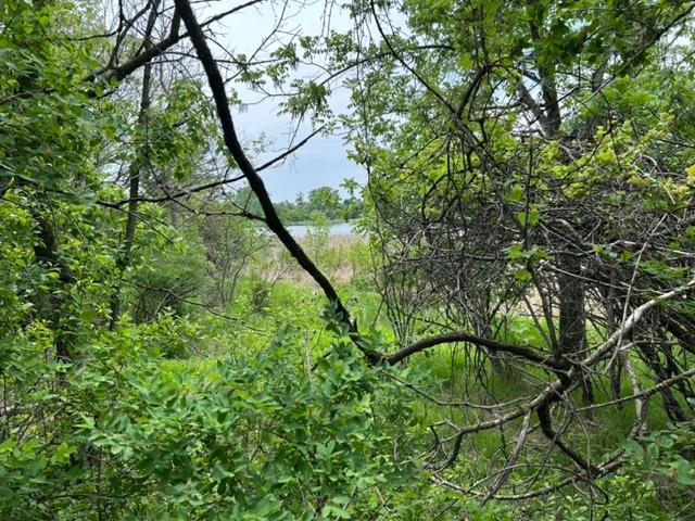 TBD Highway 28/29, Glenwood, Minnesota image 3