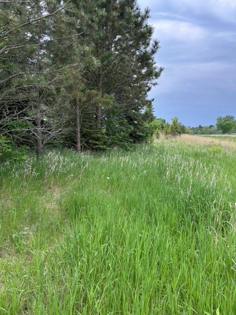 TBD Highway 28/29, Glenwood, Minnesota image 17