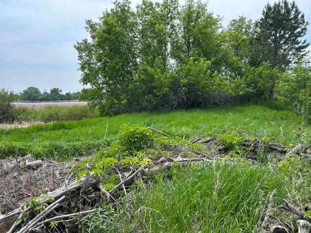 TBD Highway 28/29, Glenwood, Minnesota image 5