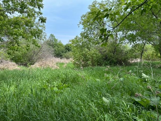 TBD Highway 28/29, Glenwood, Minnesota image 6