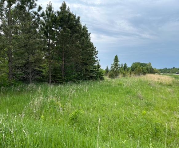 TBD Highway 28/29, Glenwood, Minnesota image 19