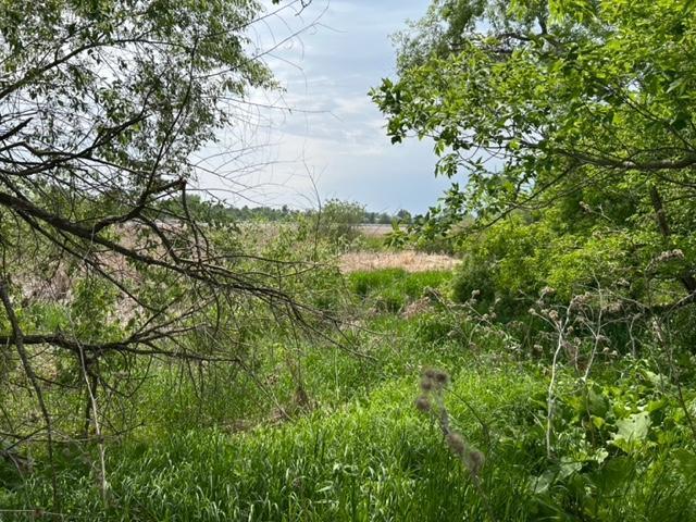 TBD Highway 28/29, Glenwood, Minnesota image 14
