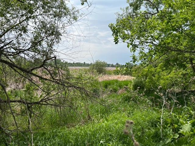 TBD Highway 28/29, Glenwood, Minnesota image 15