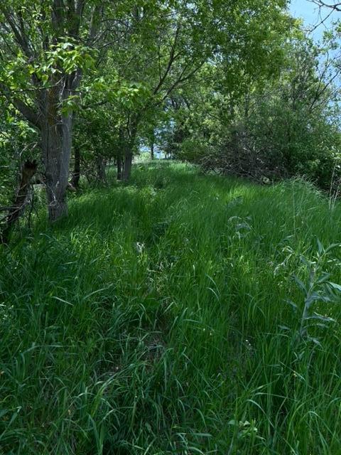 TBD Highway 28/29, Glenwood, Minnesota image 13