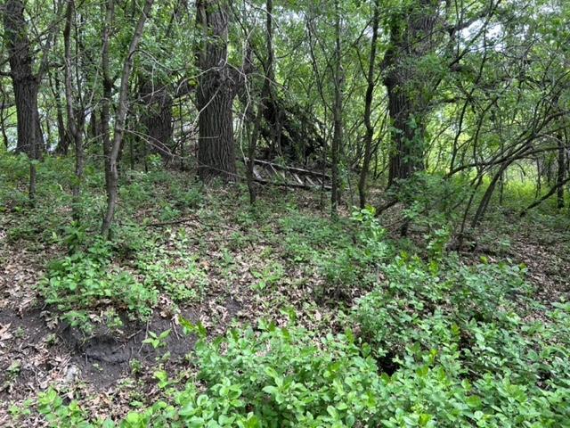 TBD Highway 28/29, Glenwood, Minnesota image 9