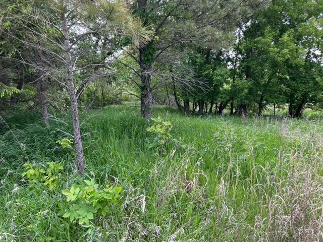 TBD Highway 28/29, Glenwood, Minnesota image 22