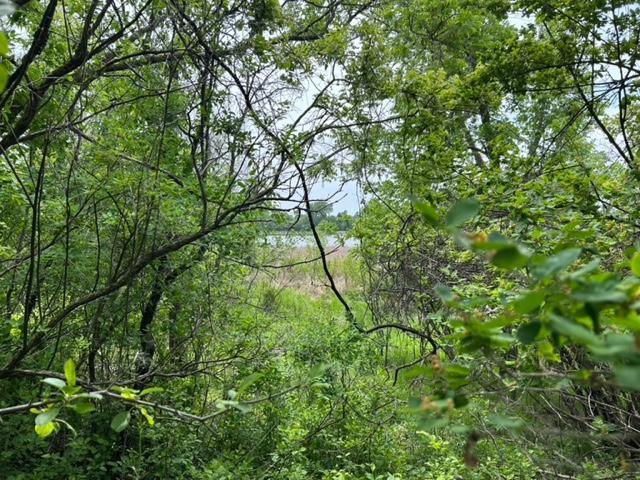 TBD Highway 28/29, Glenwood, Minnesota image 2