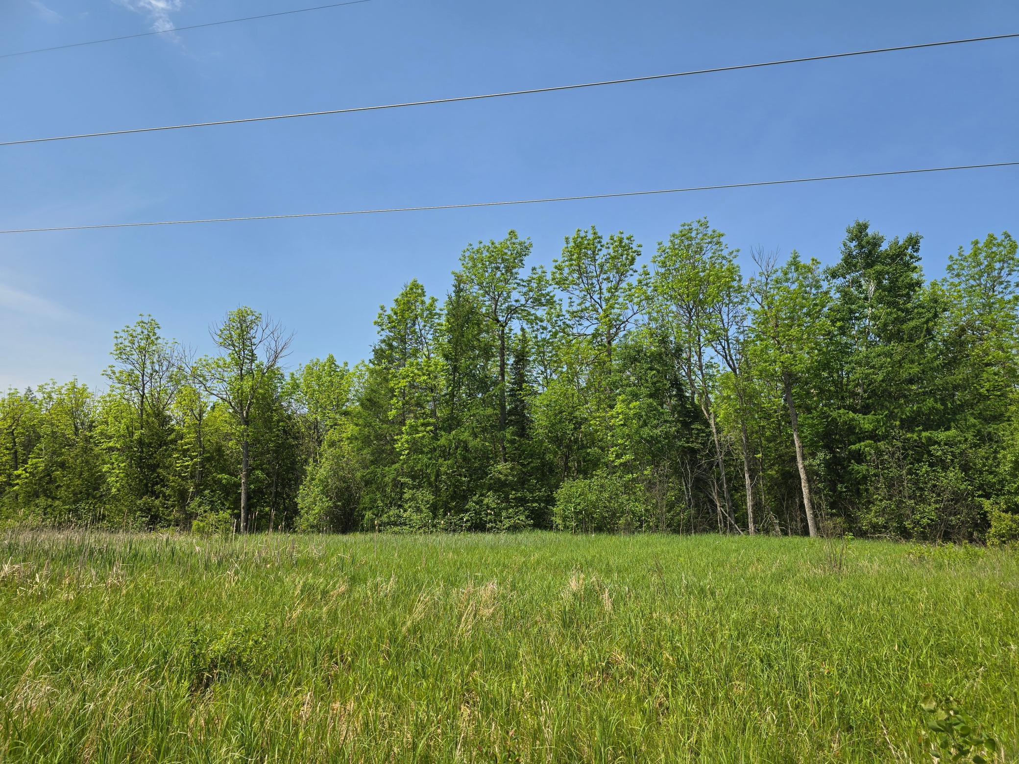 TBD Town Road 166, Littlefork, Minnesota image 3