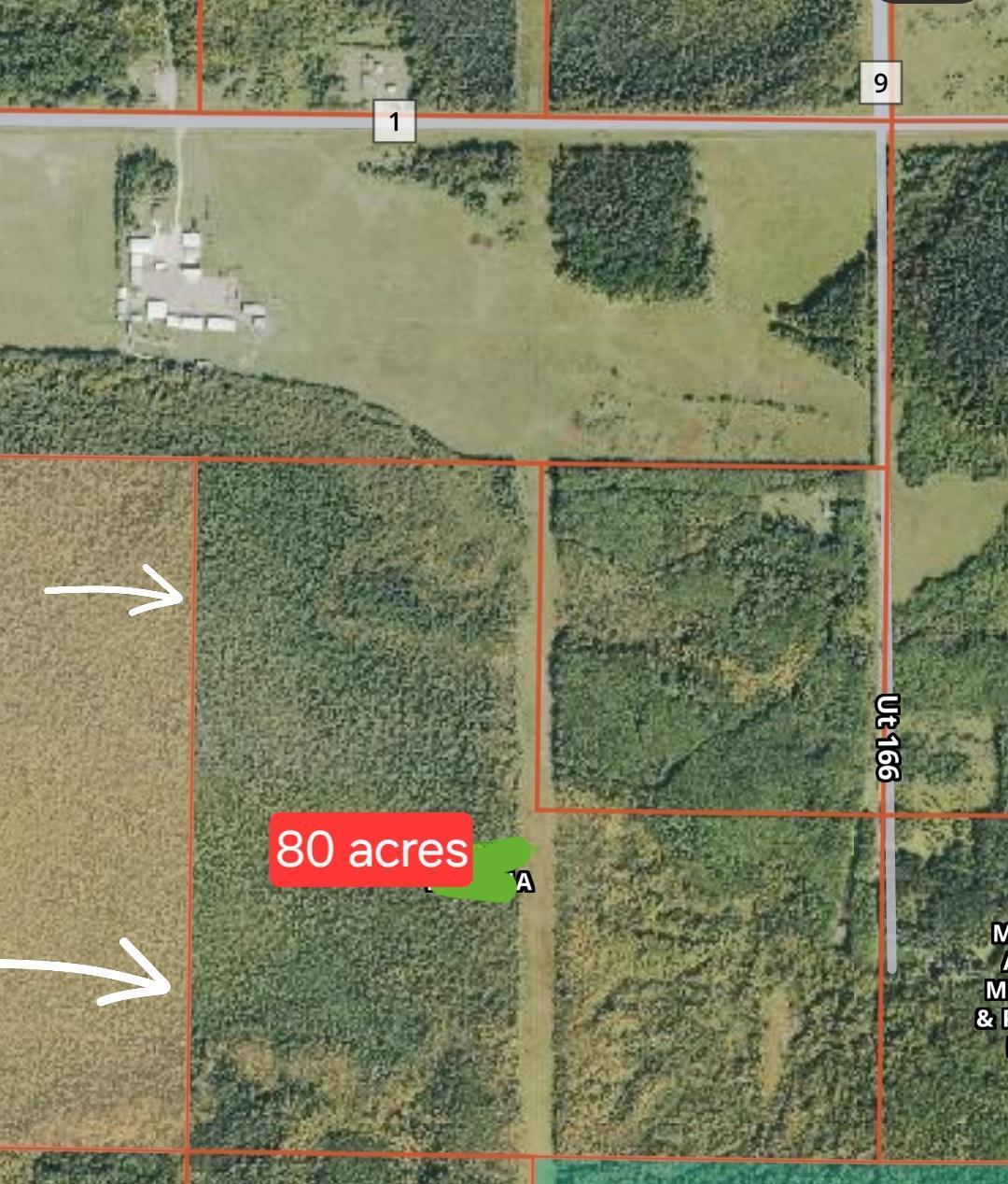 TBD Town Road 166, Littlefork, Minnesota image 11