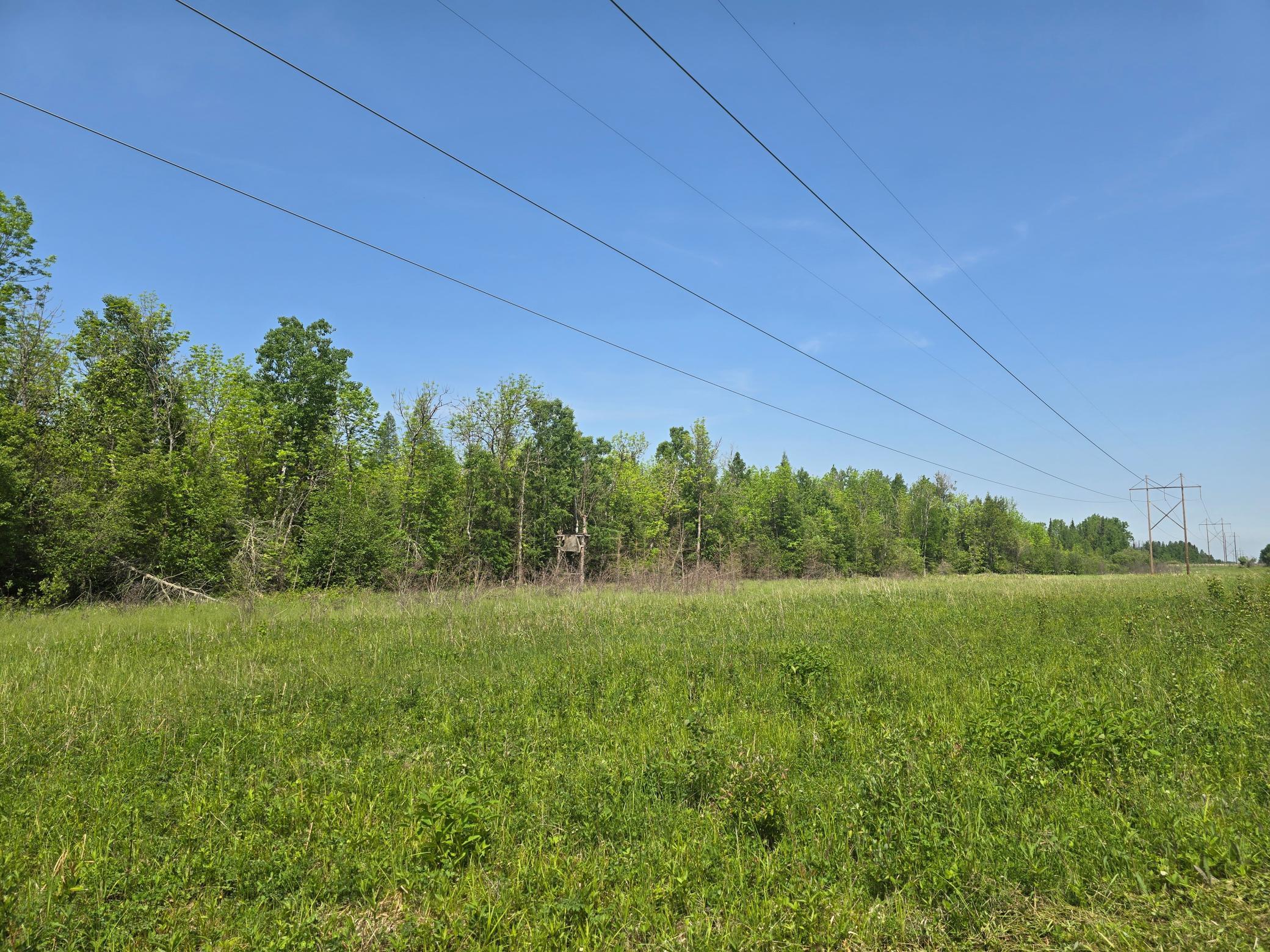 TBD Town Road 166, Littlefork, Minnesota image 4