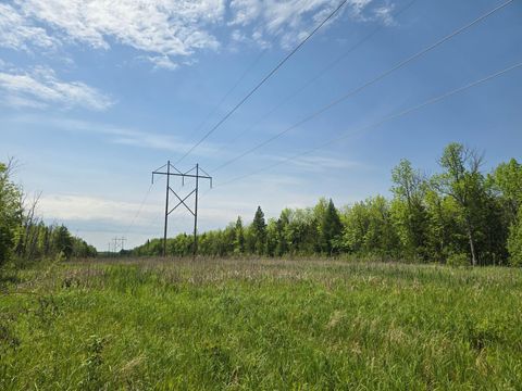 Vacant Land For Sale - TBD Town Road 166<br/> Koochiching County, Littlefork, MN 56653
