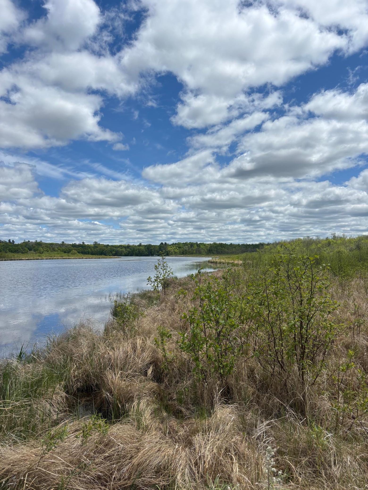 2948 Iowa Drive, Backus, Minnesota image 3