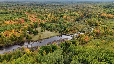 Vacant Land For Sale - 62427 Lower Tamarack Road<br/> Pine County, Bruno, MN 55712