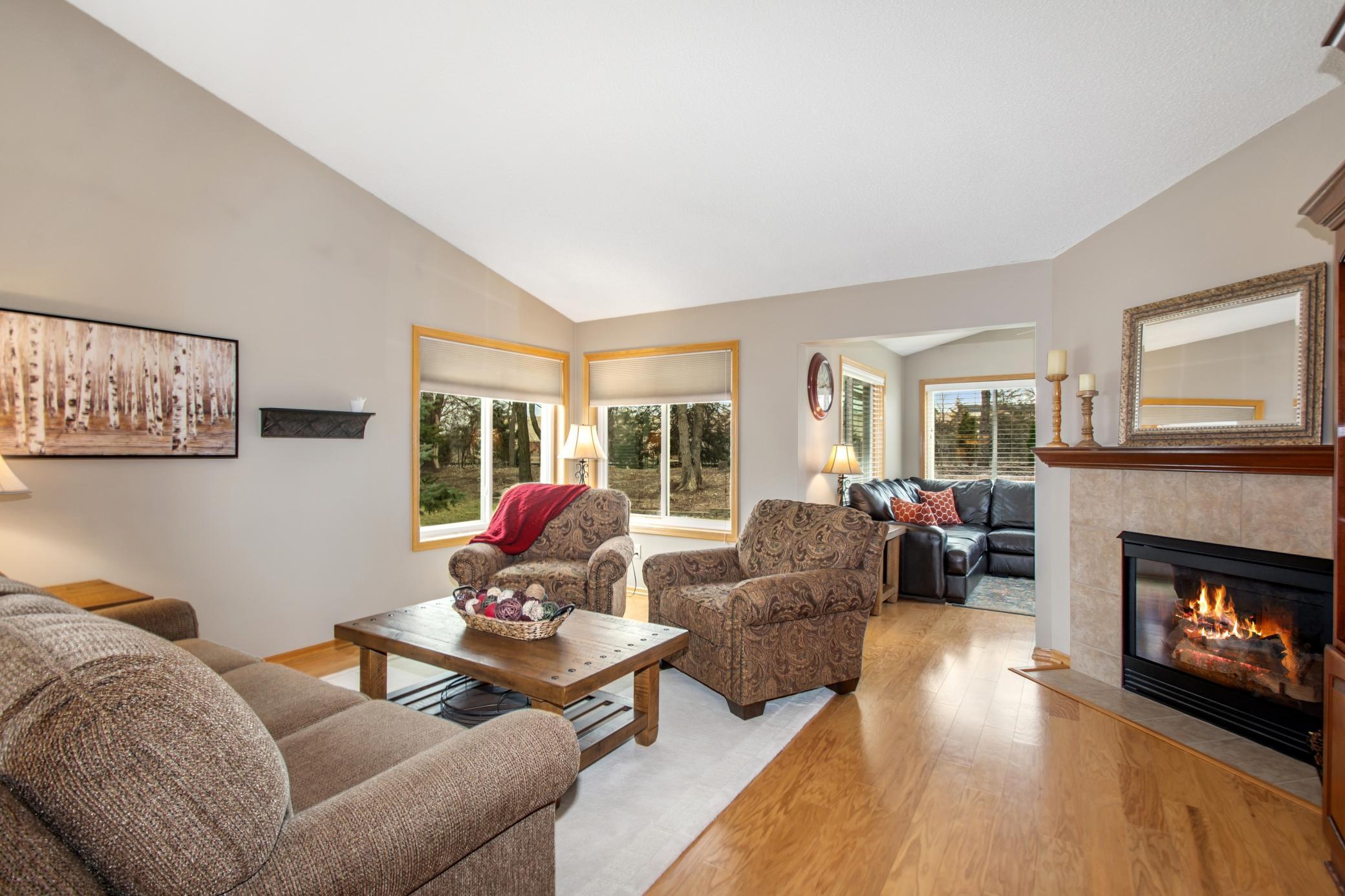 3605 122nd Circle, Coon Rapids, Minnesota image 12
