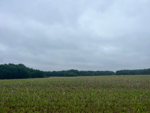 Vacant Land For Sale - TBD (LOT 1) Hemingway Avenue<br/> North Branch, MN 55056