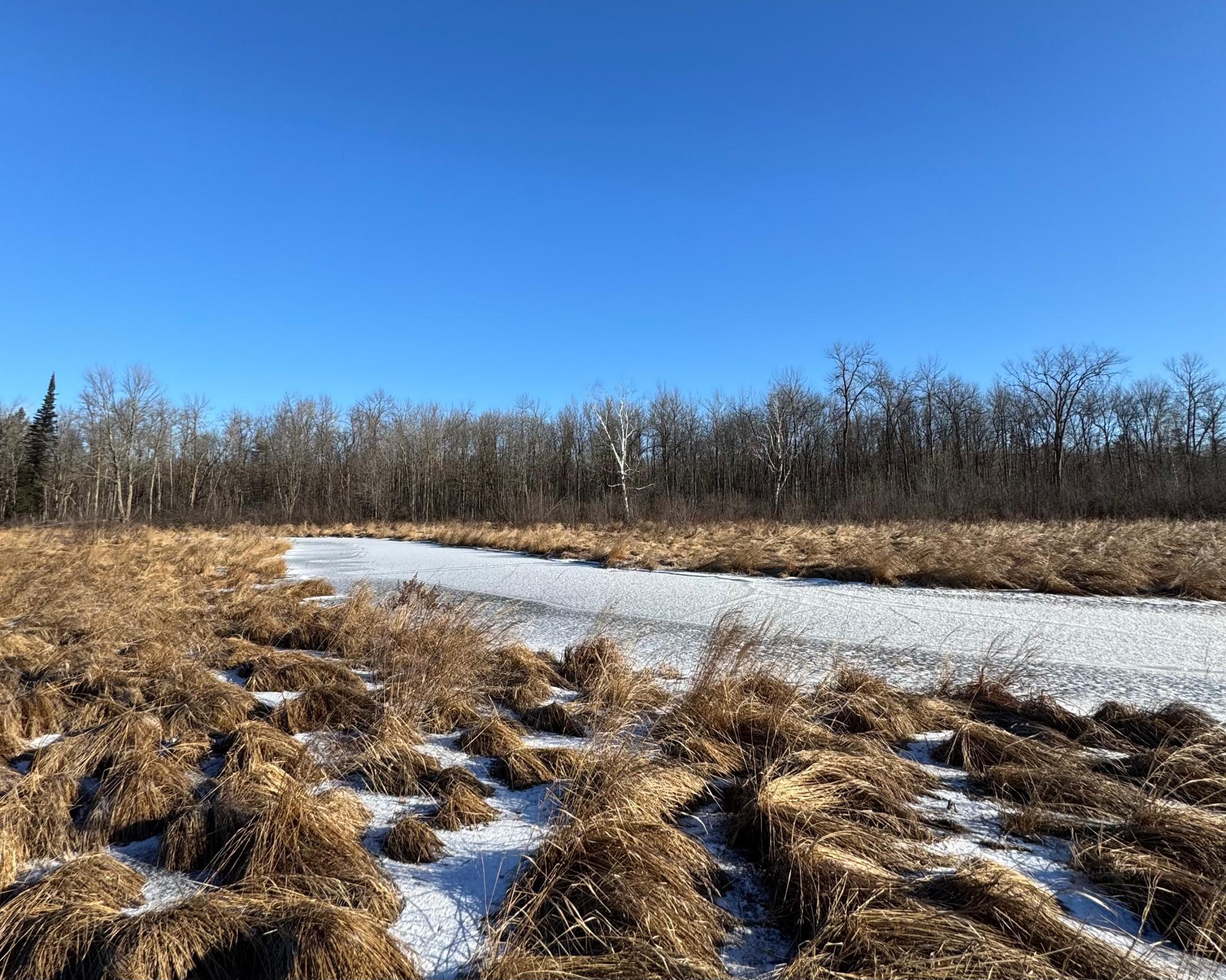 Xxxxx Fox Road, Hinckley, Minnesota image 3