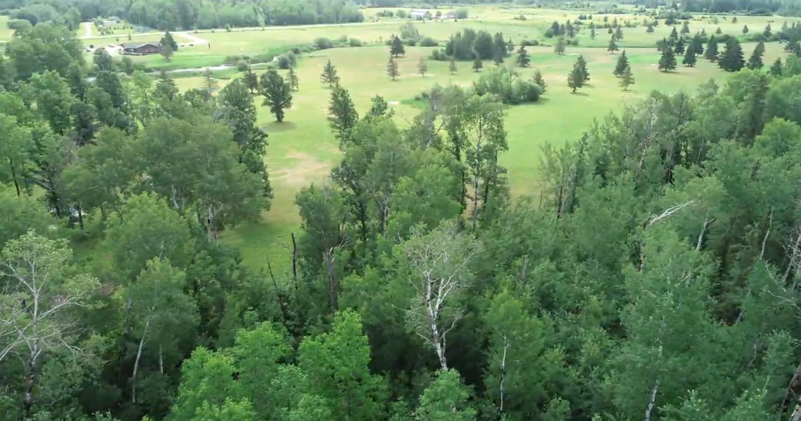 Lot 3 Eagle Drive, Bigfork, Minnesota image 1