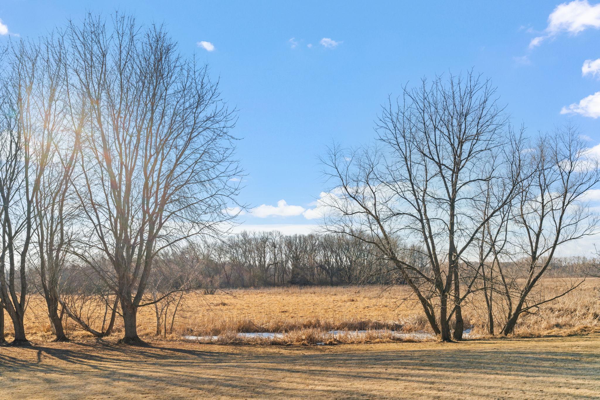 5230 Rebecca Park Trail, Loretto, Minnesota image 39