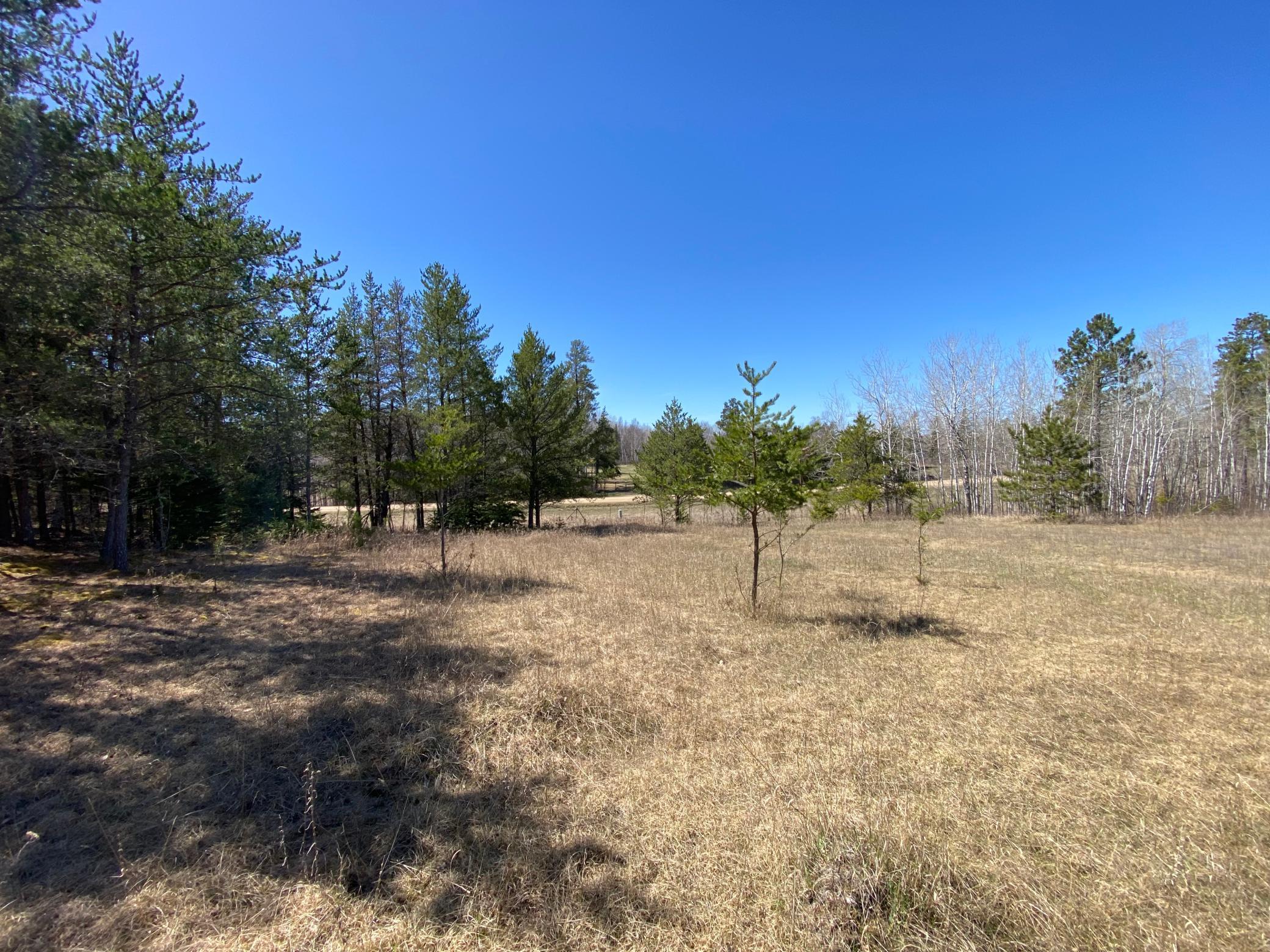 TBD County 89, Park Rapids, Minnesota image 2