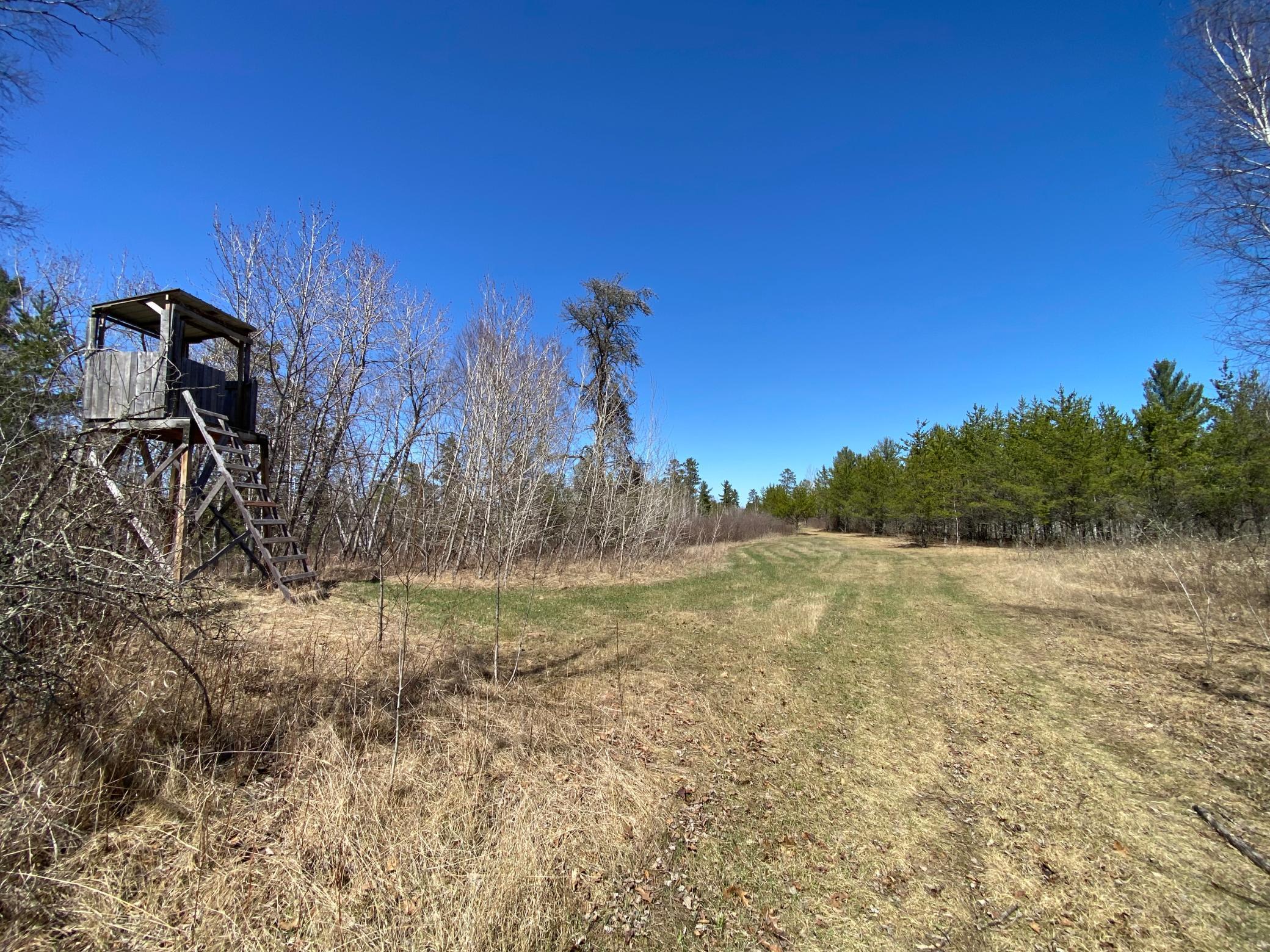 TBD County 89, Park Rapids, Minnesota image 5