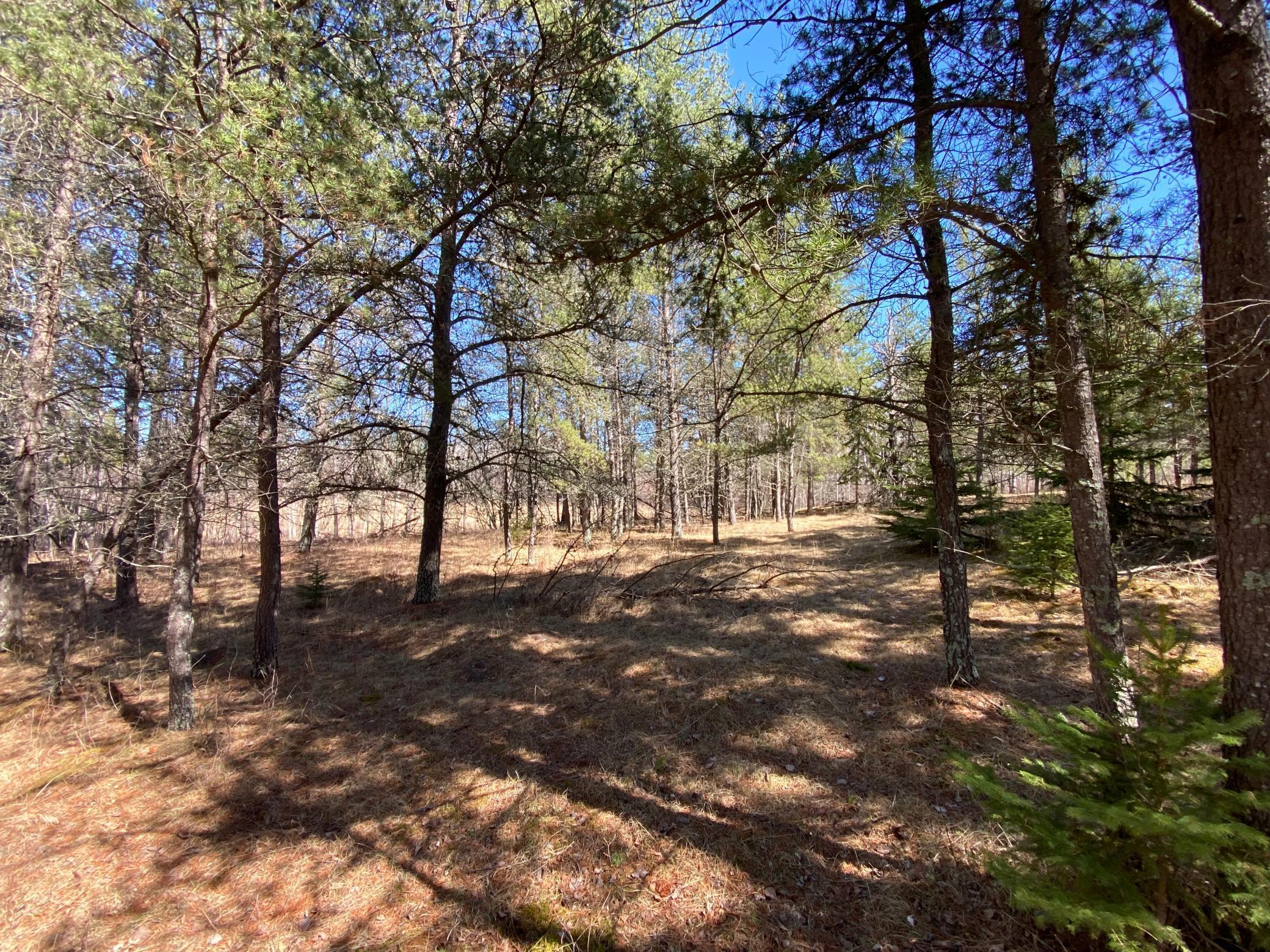 TBD County 89, Park Rapids, Minnesota image 10