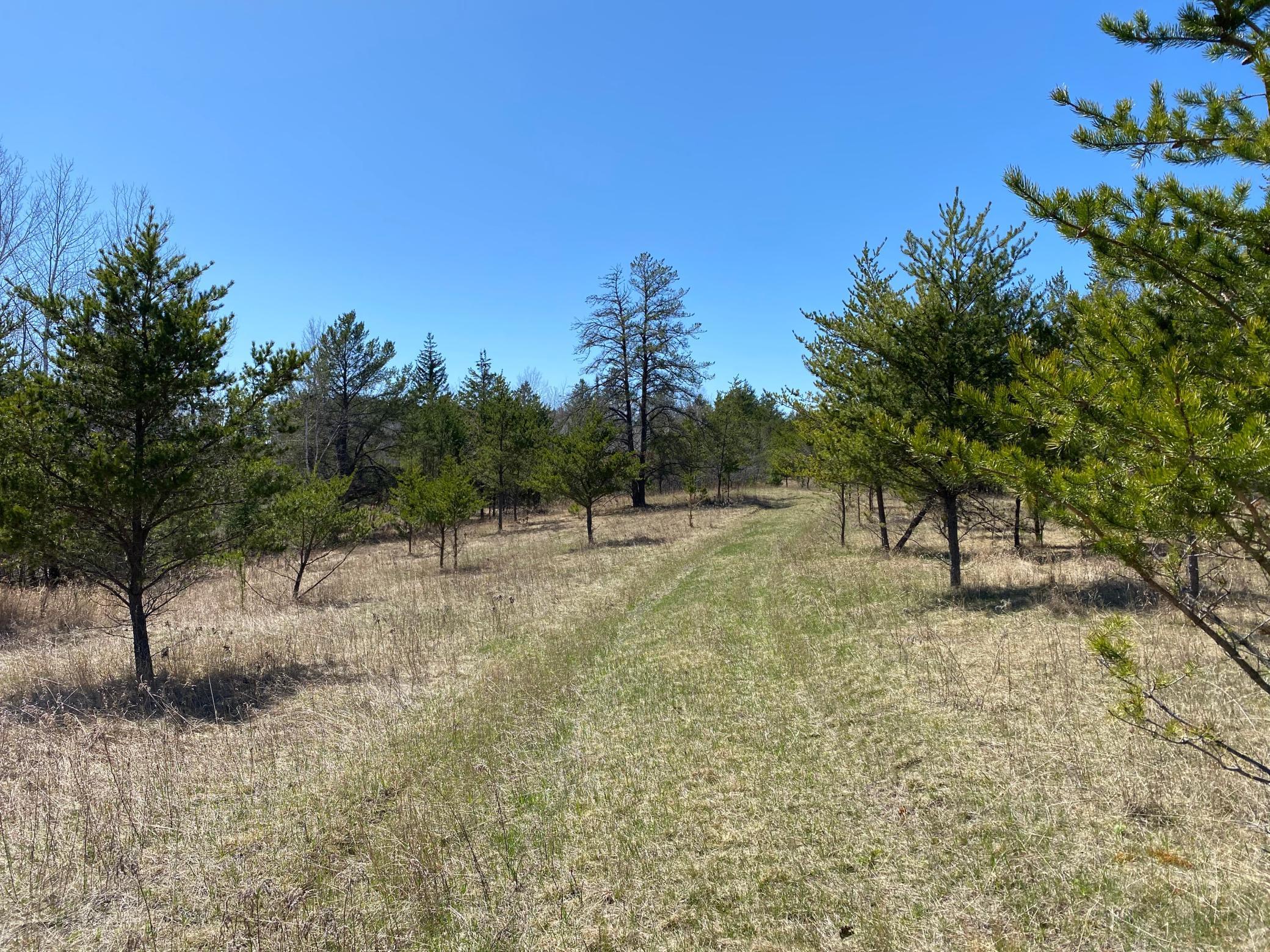 TBD County 89, Park Rapids, Minnesota image 4