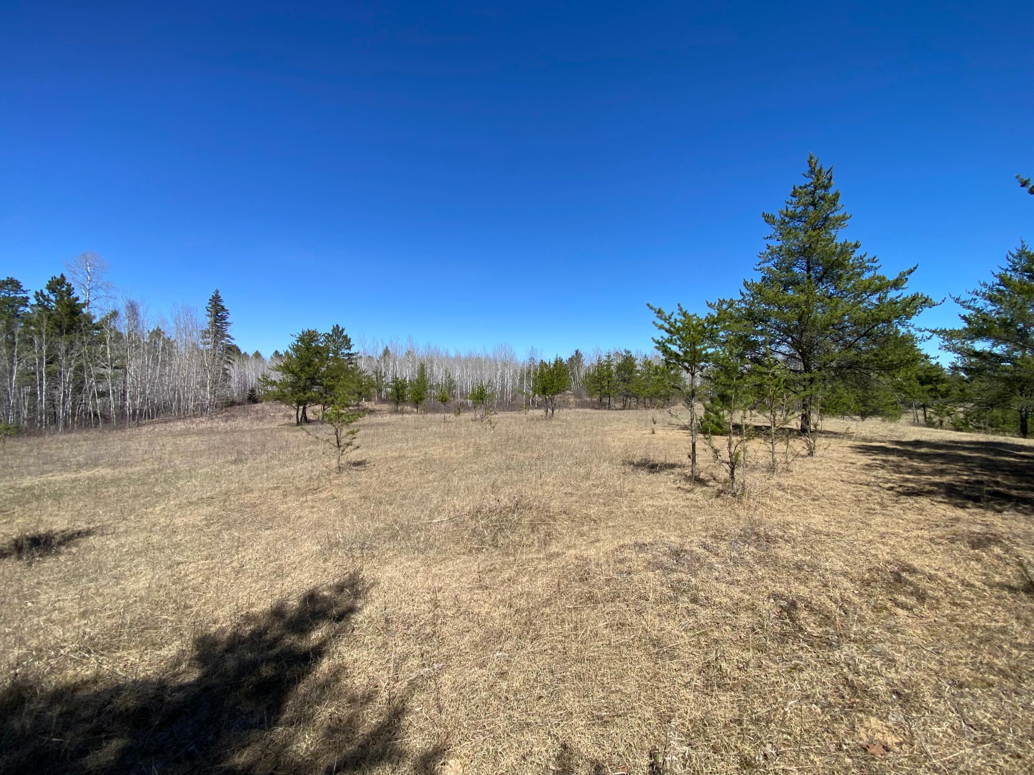 TBD County 89, Park Rapids, Minnesota image 3