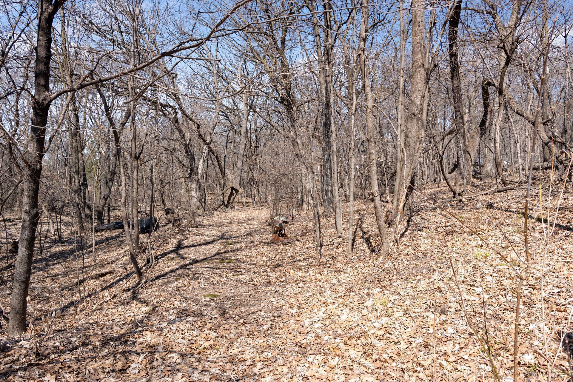 4760 N Arm Drive, Mound, Minnesota image 27
