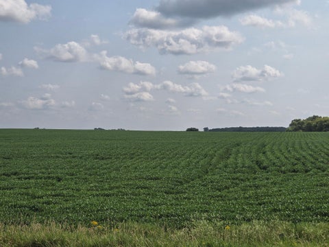 Vacant Land For Sale - 13261 480th Ave<br/> Stevens County, Donnelly, MN 56235