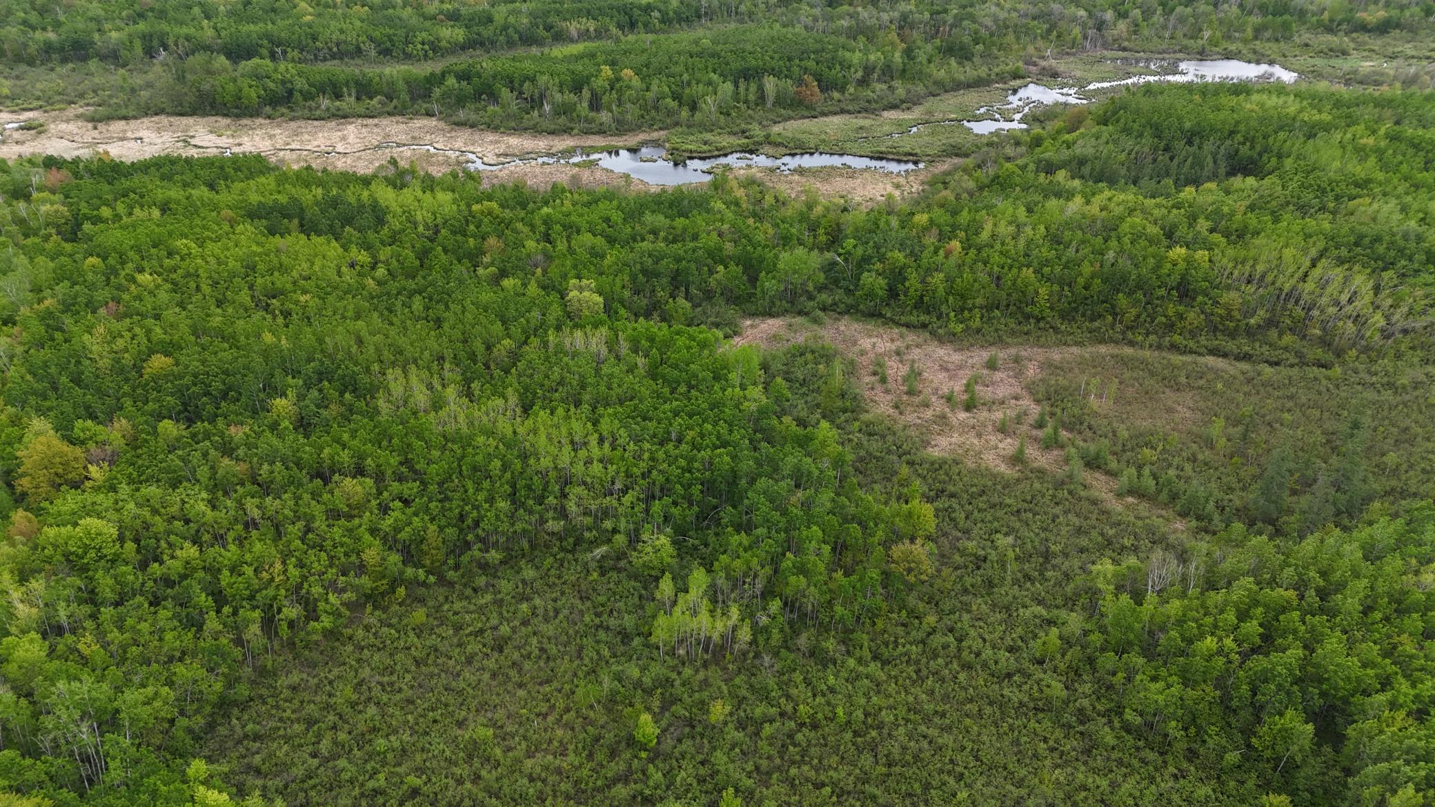 XXX Little Sand Creek Road, Sandstone, Minnesota image 29
