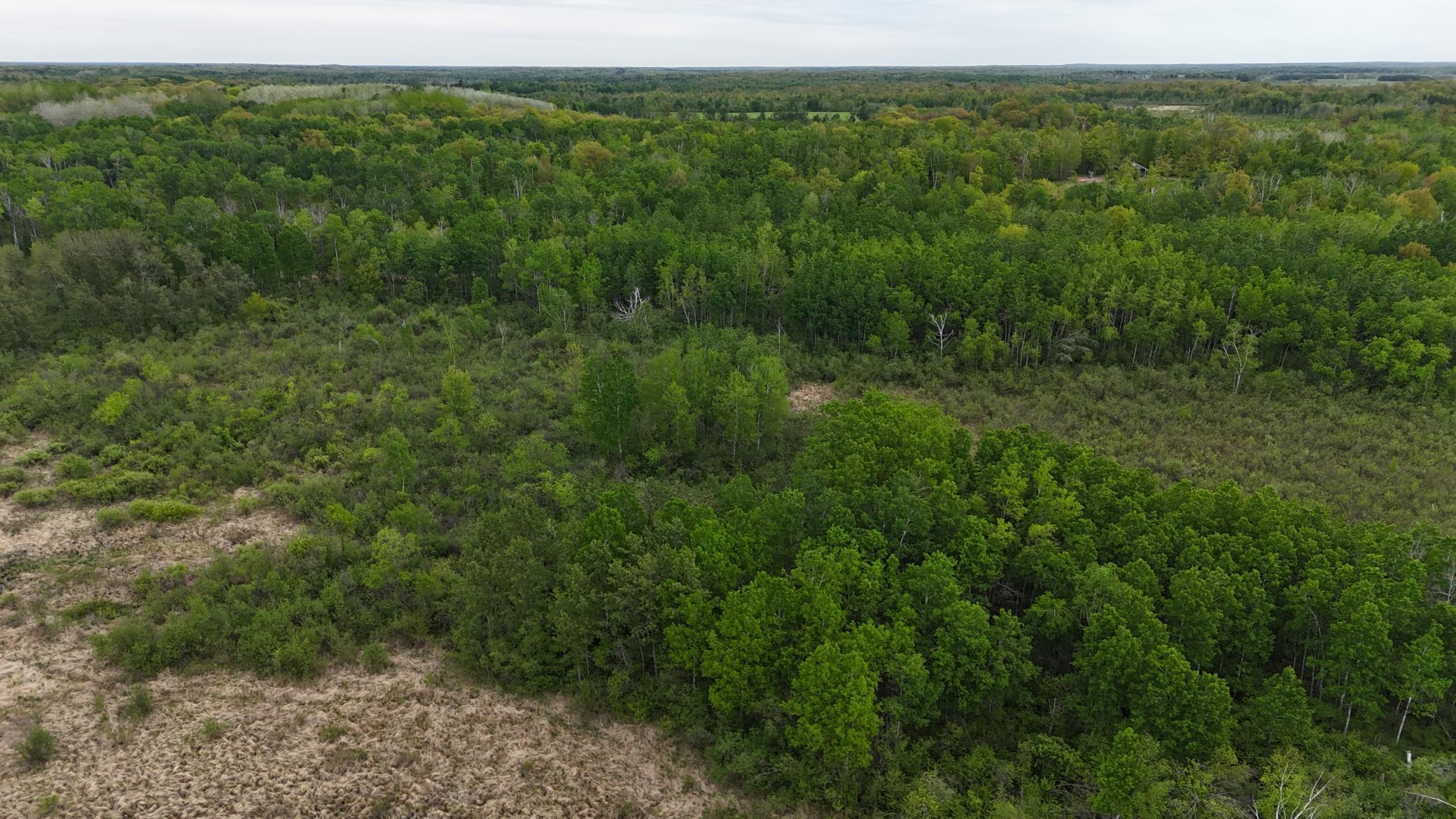 XXX Little Sand Creek Road, Sandstone, Minnesota image 24