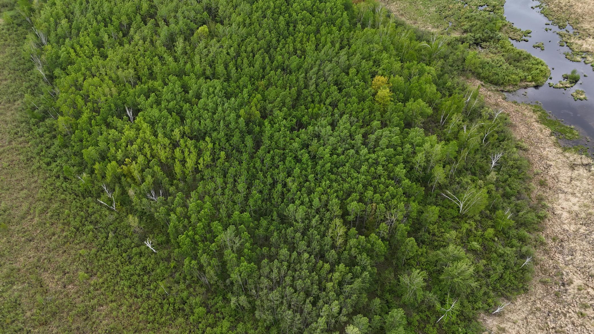 XXX Little Sand Creek Road, Sandstone, Minnesota image 26