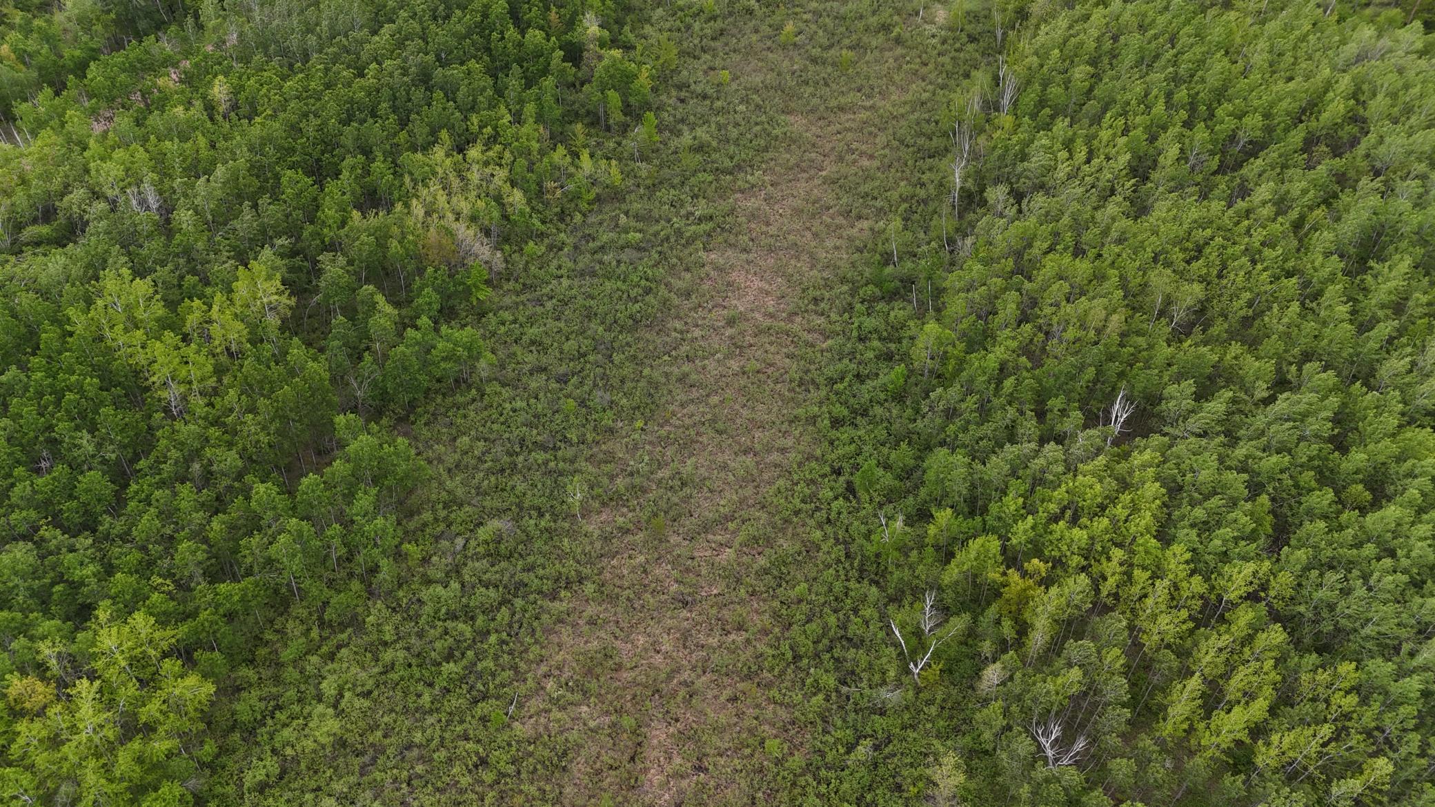 XXX Little Sand Creek Road, Sandstone, Minnesota image 13