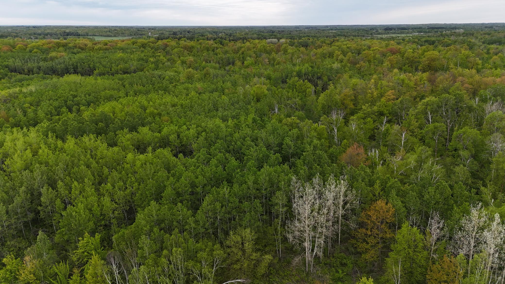 XXX Little Sand Creek Road, Sandstone, Minnesota image 23