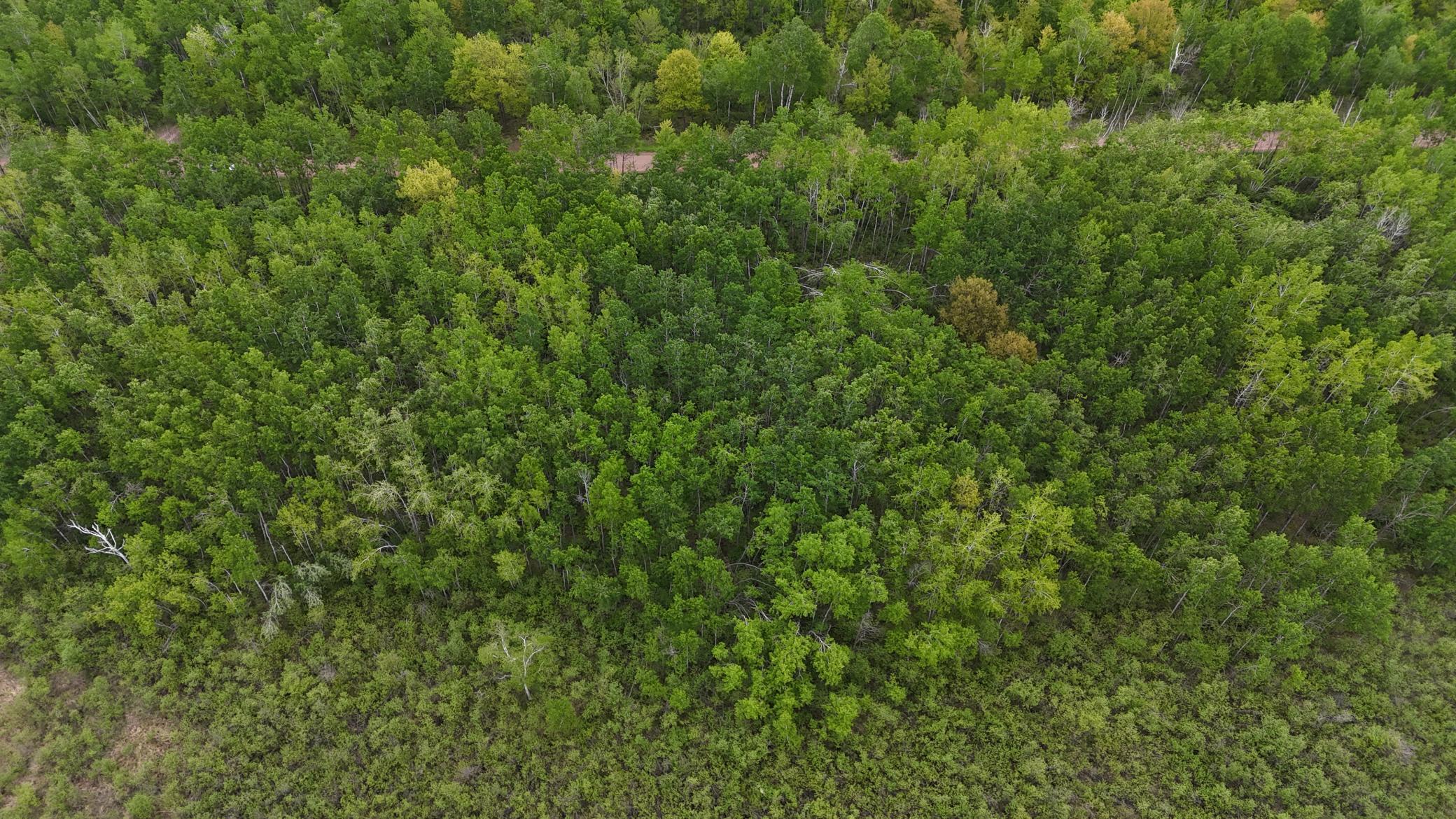 XXX Little Sand Creek Road, Sandstone, Minnesota image 12