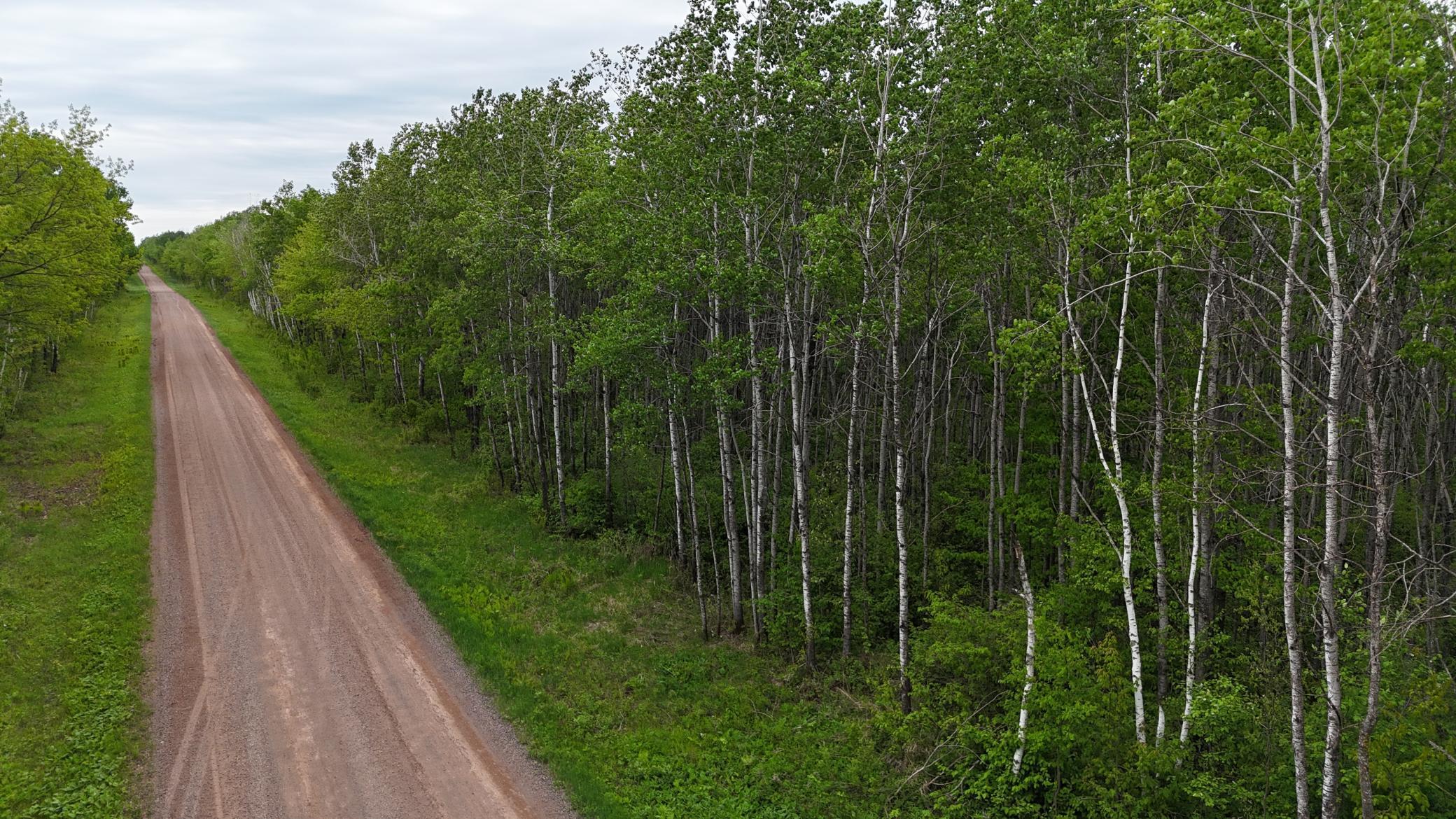 XXX Little Sand Creek Road, Sandstone, Minnesota image 6