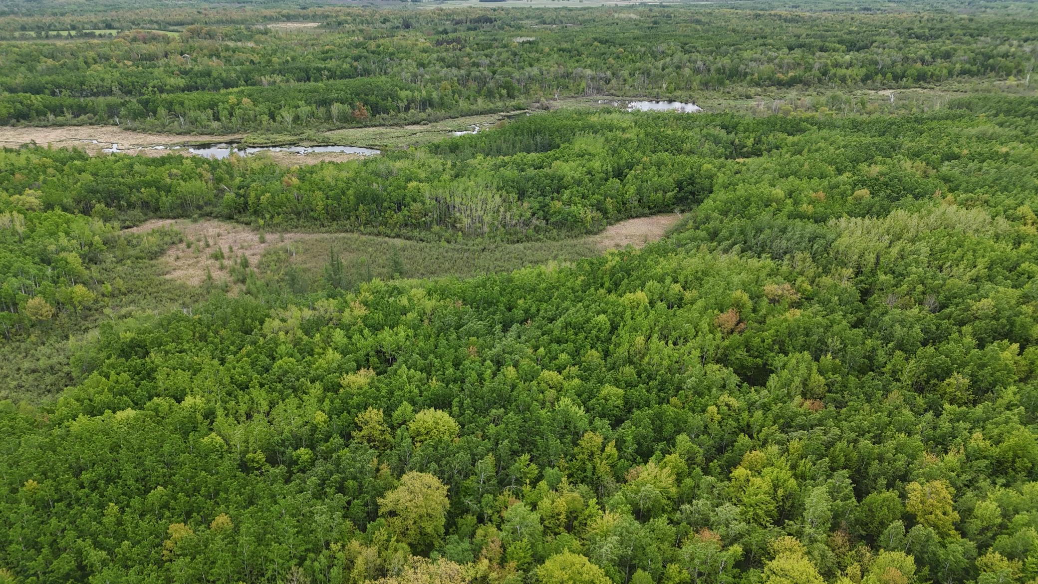 XXX Little Sand Creek Road, Sandstone, Minnesota image 1