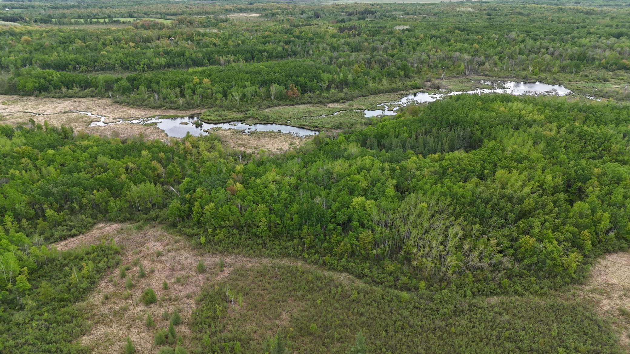 XXX Little Sand Creek Road, Sandstone, Minnesota image 3