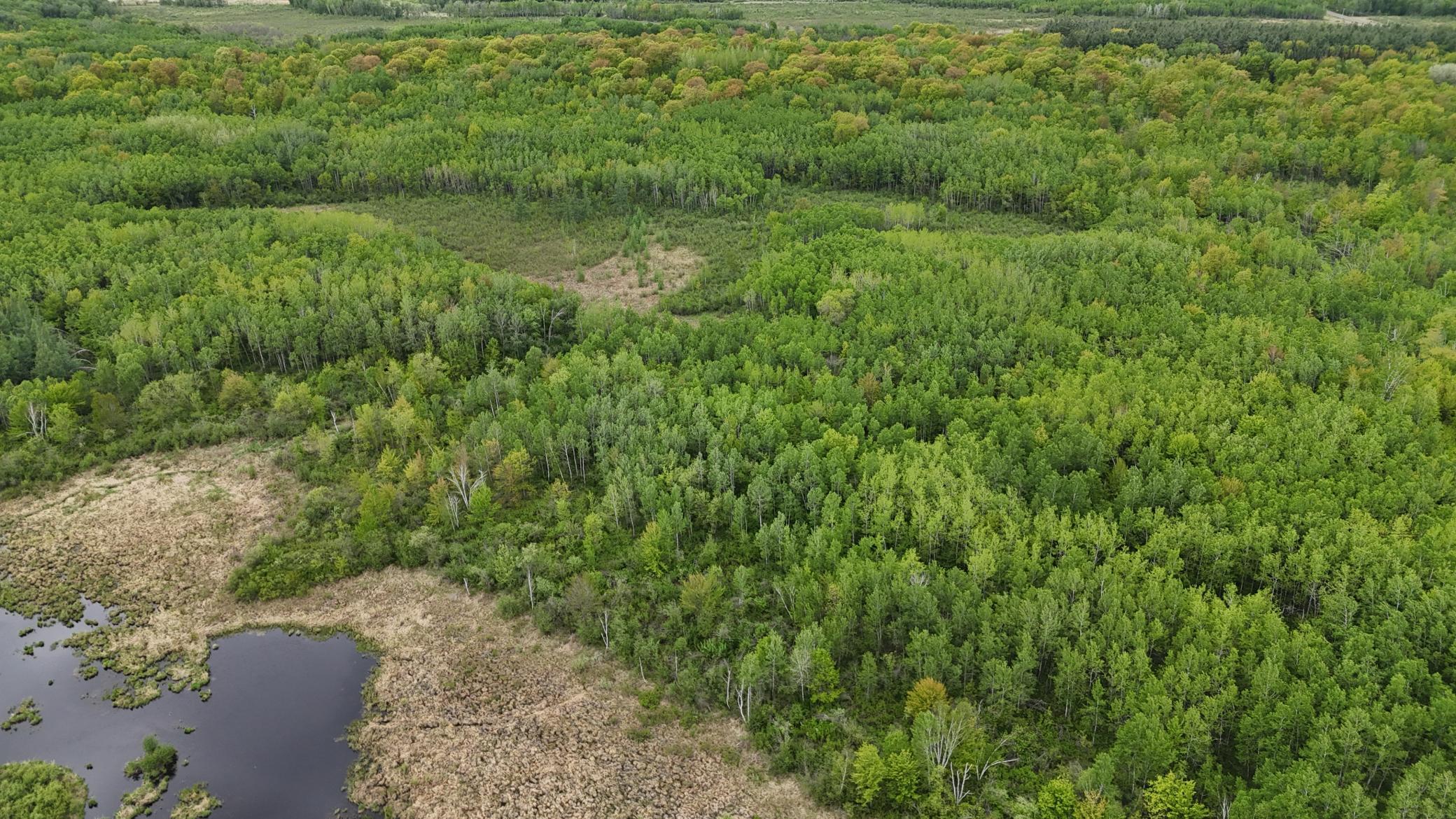 XXX Little Sand Creek Road, Sandstone, Minnesota image 27
