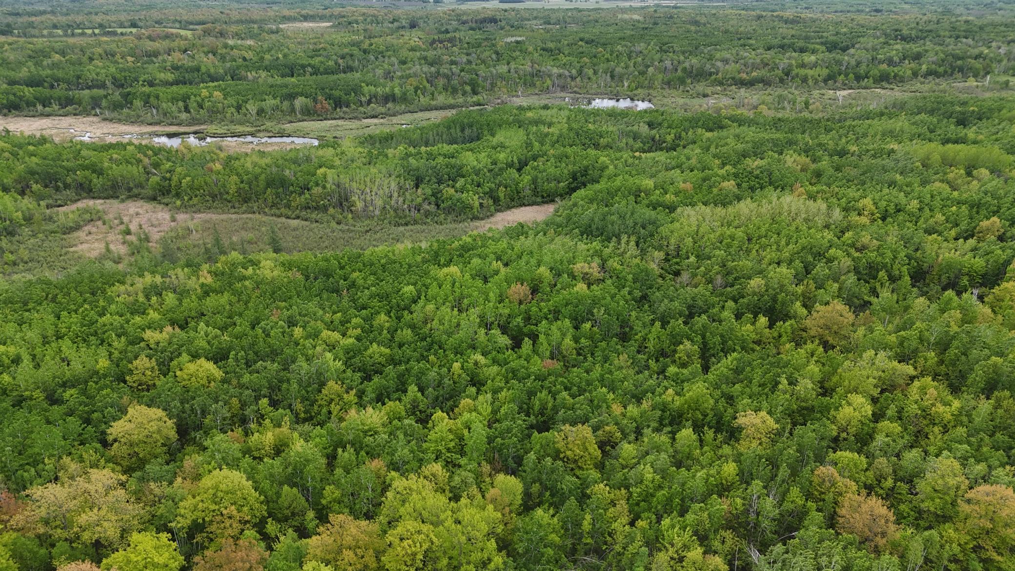 XXX Little Sand Creek Road, Sandstone, Minnesota image 9