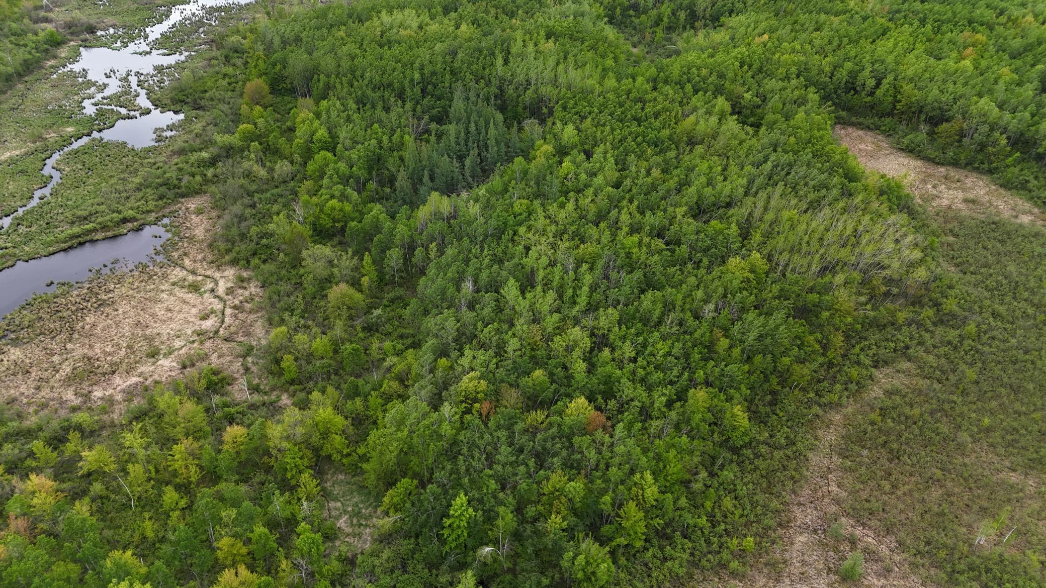 XXX Little Sand Creek Road, Sandstone, Minnesota image 28