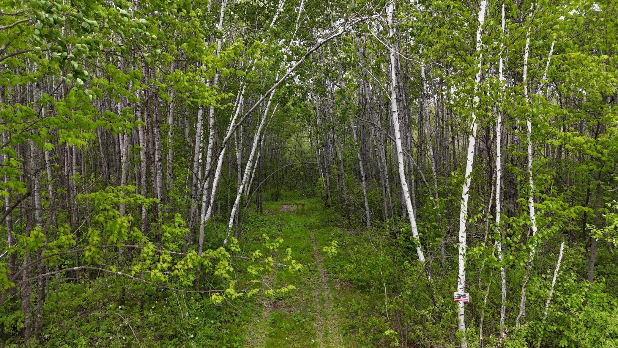 XXX Little Sand Creek Road, Sandstone, Minnesota image 2