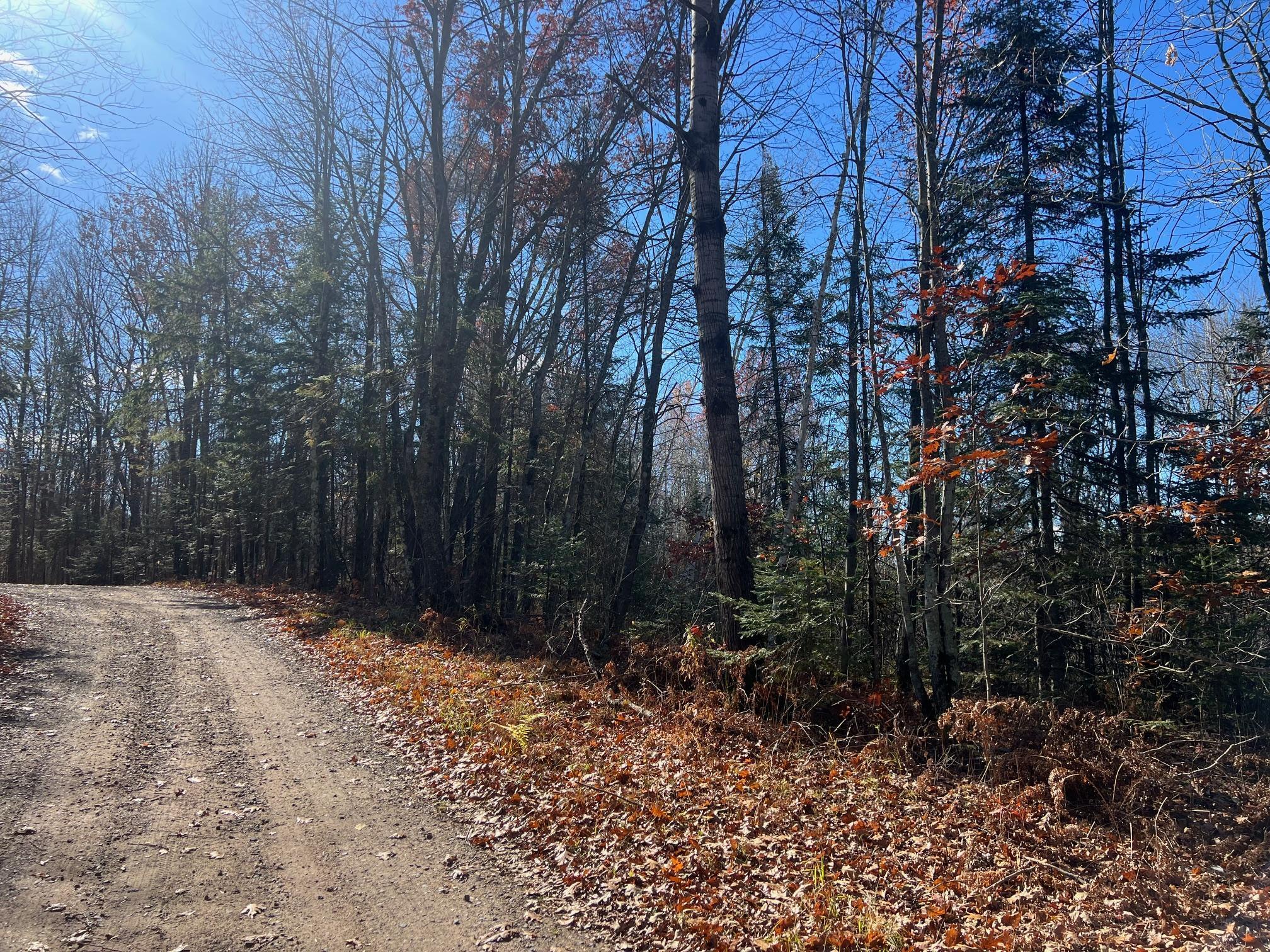 TBD Willy Road, Weyerhaeuser, Wisconsin image 4
