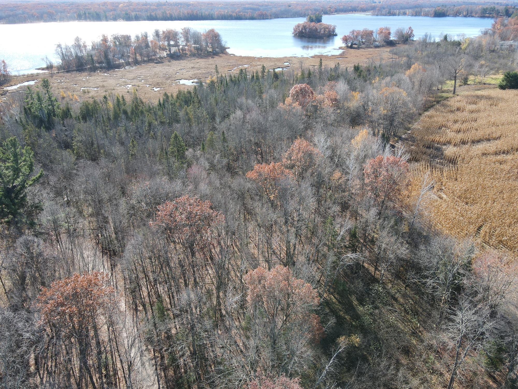 TBD Willy Road, Weyerhaeuser, Wisconsin image 6