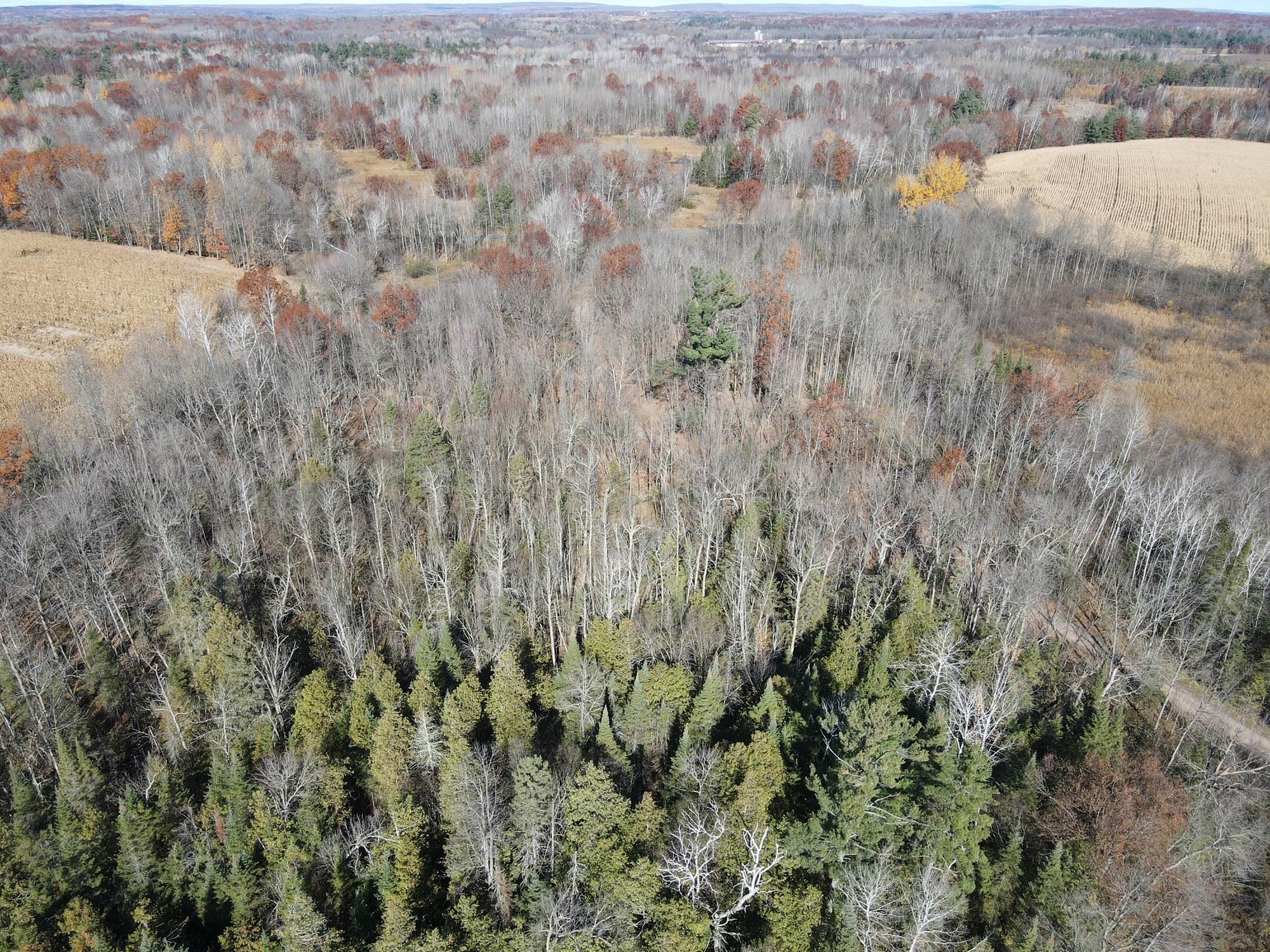 TBD Willy Road, Weyerhaeuser, Wisconsin image 3
