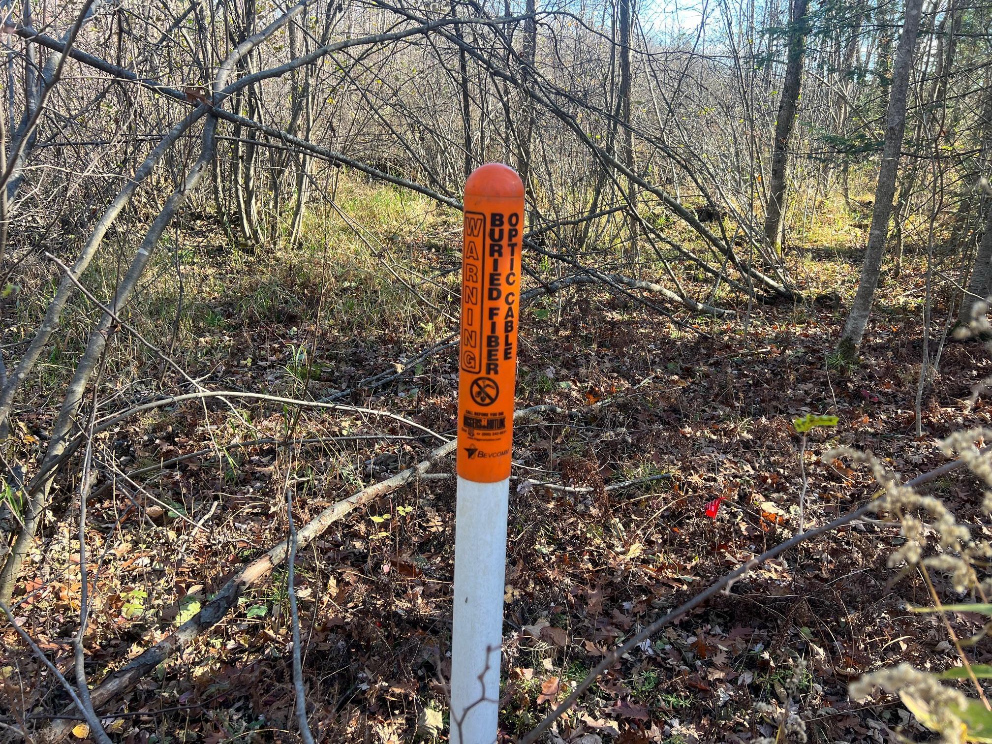 TBD Willy Road, Weyerhaeuser, Wisconsin image 9